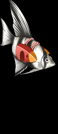Wonderland angel fish