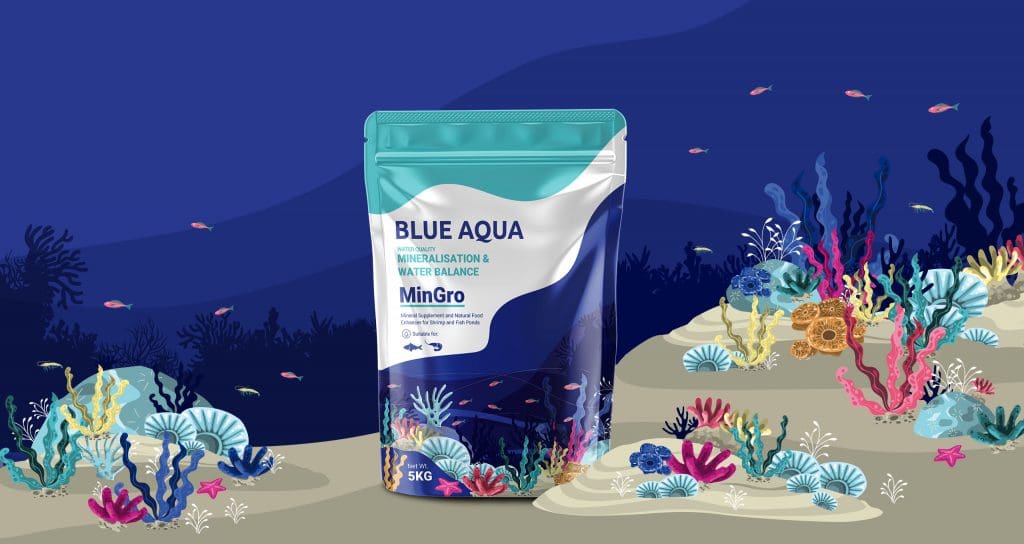 SEA PACKAGING | Creativeans